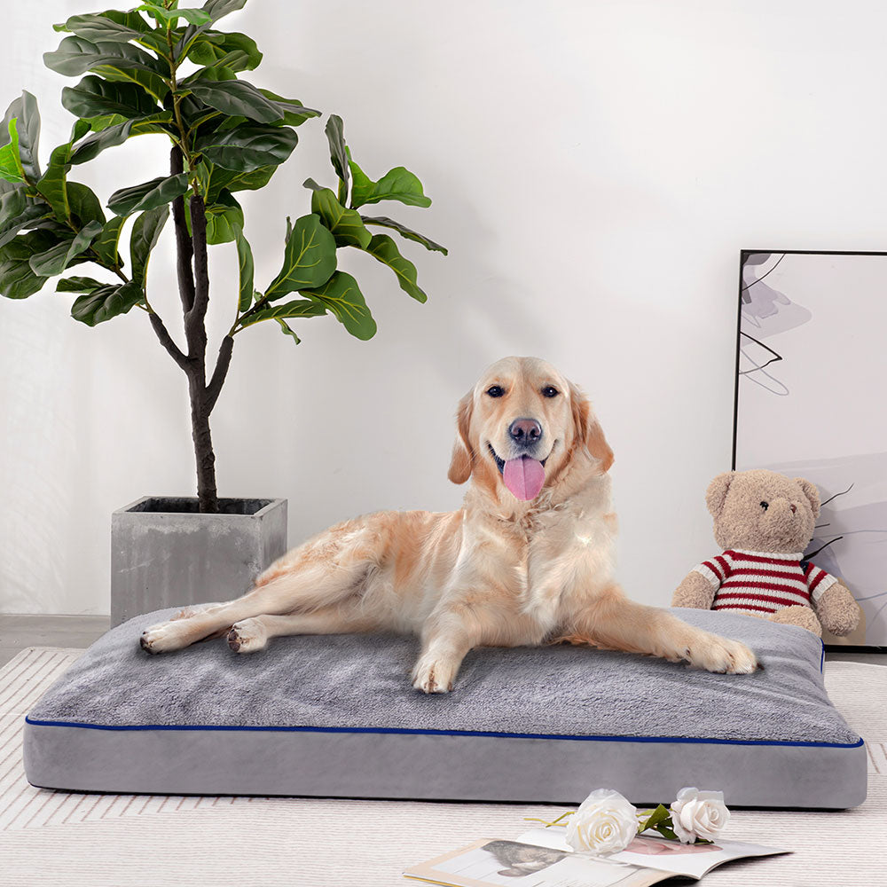 Dog bed mattress shops